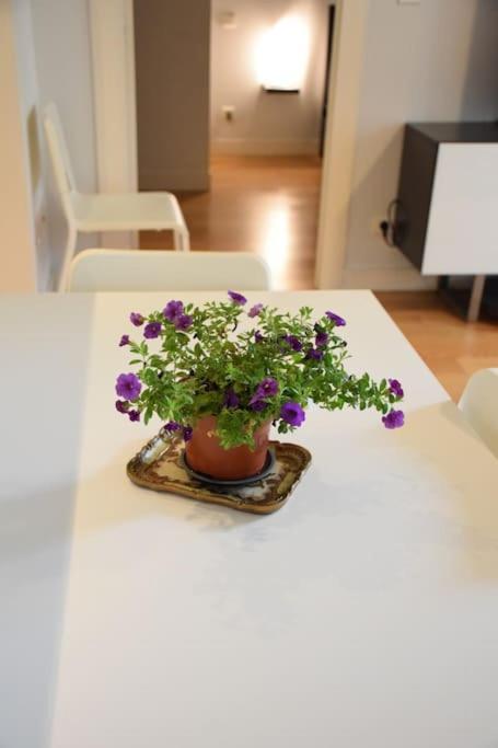 Le Cocon De Matabiau - 2 Pas Du Centre Avec Parking Apartman Toulouse Kültér fotó
